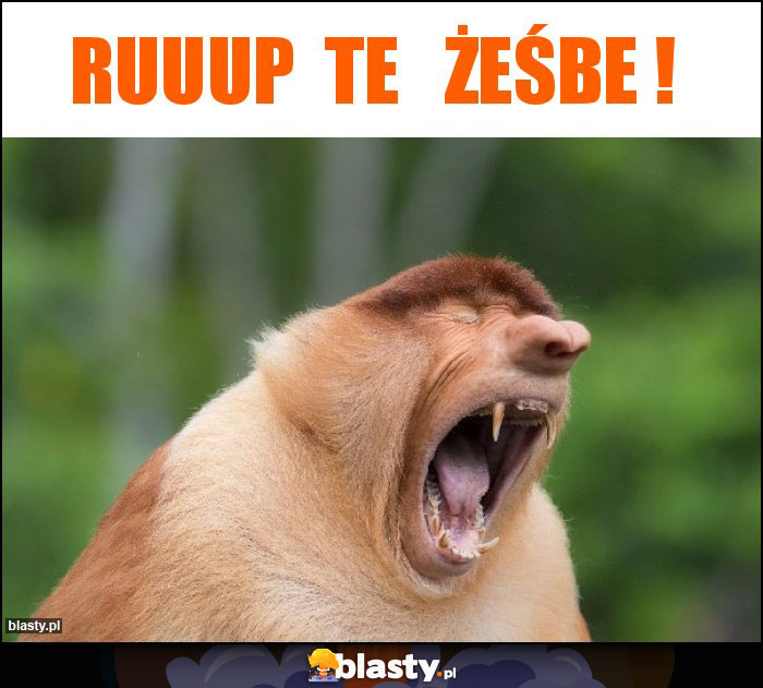 Ruuup te żeśbe ! Ruuup te żeśbe !