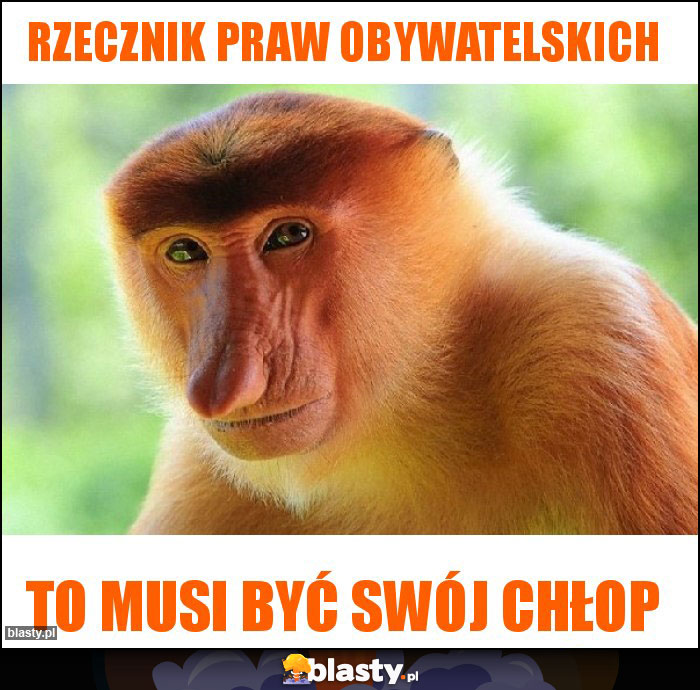 Rzecznik Praw Obywatelskich Rzecznik Praw Obywatelskich