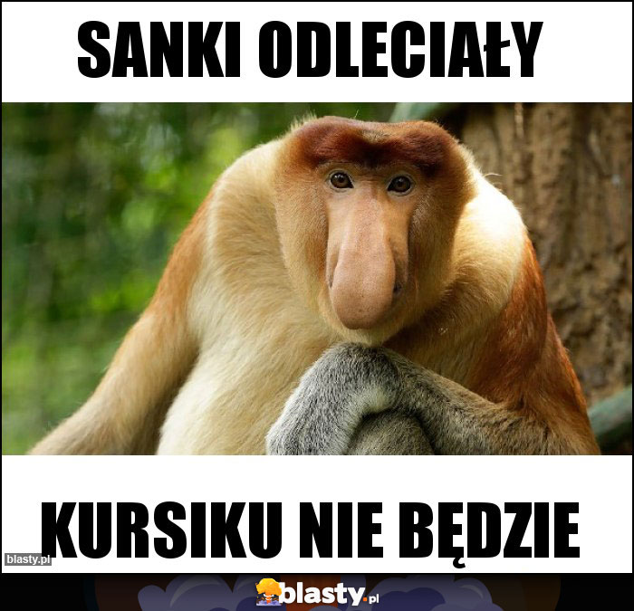 sanki odleciały sanki odleciały