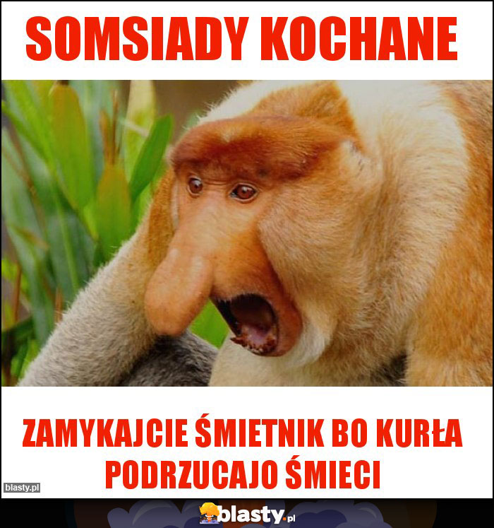 SOMSIADY KOCHANE SOMSIADY KOCHANE