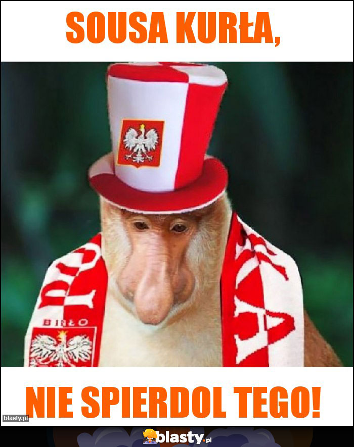 Sousa kurła, Sousa kurła,