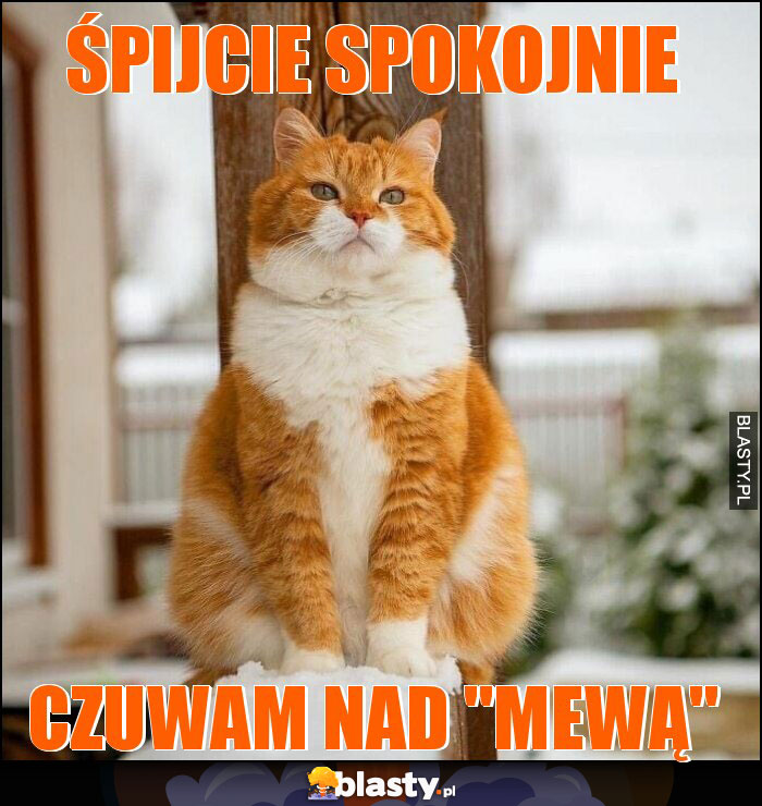 Śpijcie spokojnie Śpijcie spokojnie