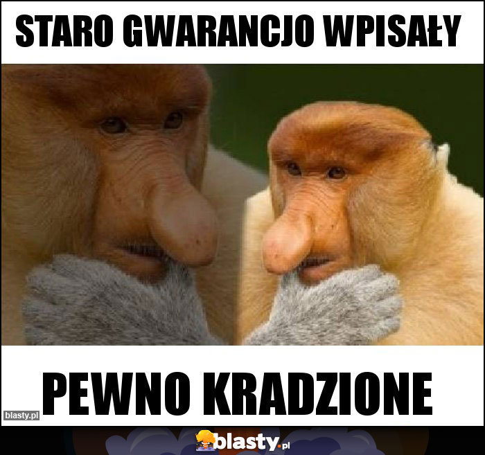 Staro gwarancjo wpisały Staro gwarancjo wpisały