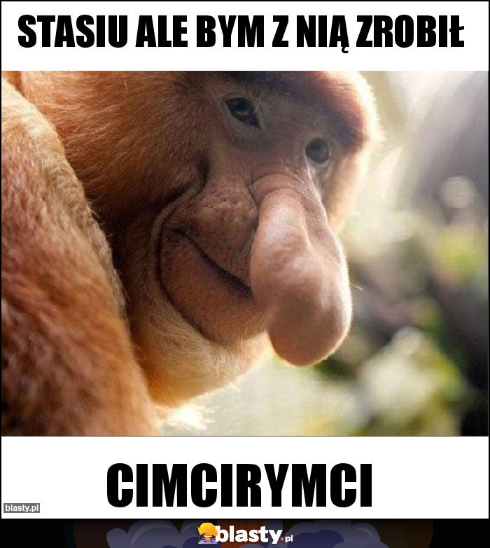 Stasiu ale bym z nią zrobił