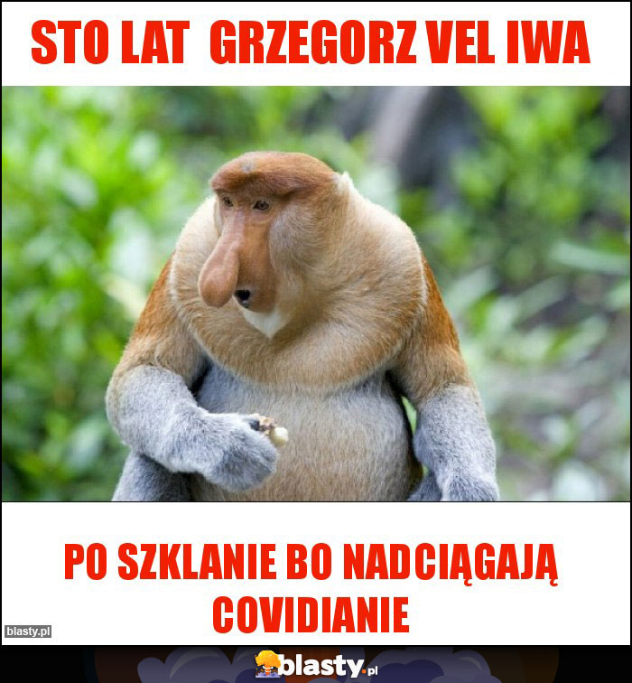 Sto lat Grzegorz vel iwa Sto lat Grzegorz vel iwa