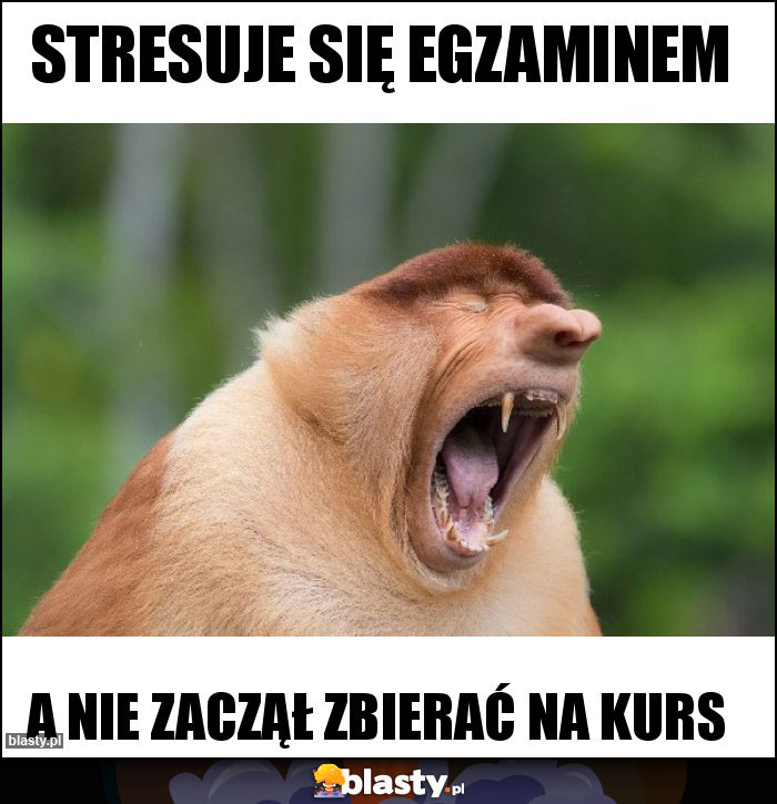 STRESUJE SIĘ EGZAMINEM
