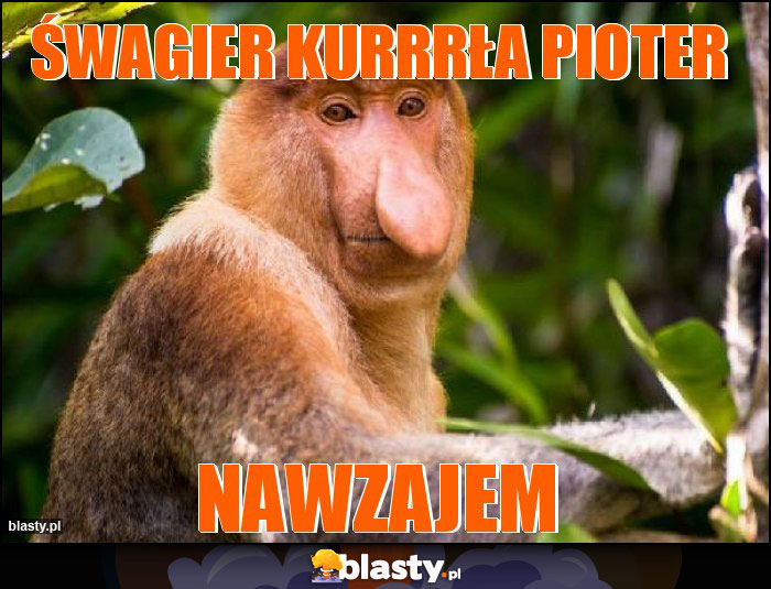Śwagier kurrrła pioter Śwagier kurrrła pioter