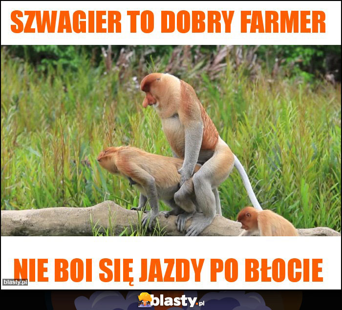 Szwagier to dobry farmer Szwagier to dobry farmer