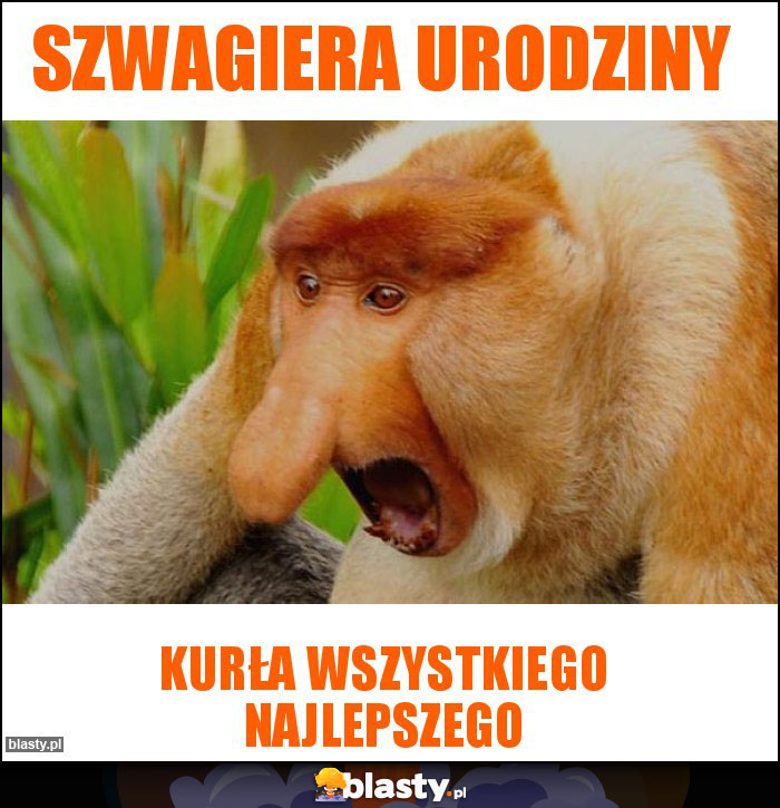 Szwagiera Urodziny Szwagiera Urodziny