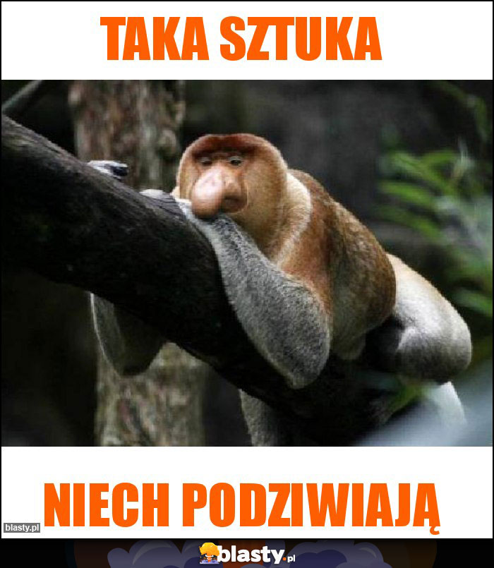 Taka sztuka Taka sztuka