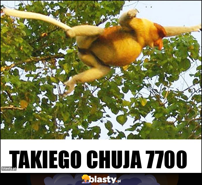 Takiego chuja 7700 Takiego chuja 7700