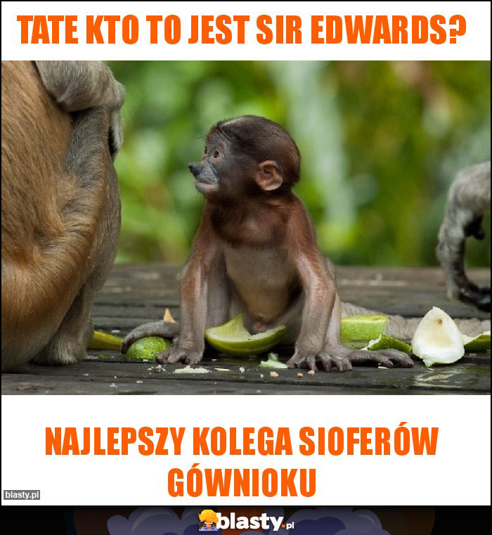 Tate kto to jest sir Edwards? Tate kto to jest sir Edwards?