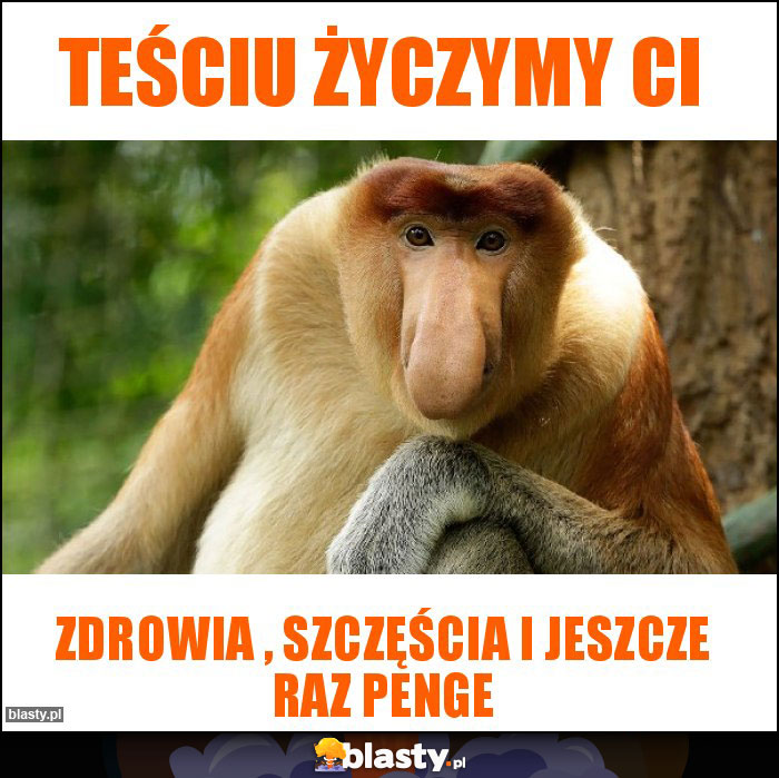 Teściu życzymy ci Teściu życzymy ci