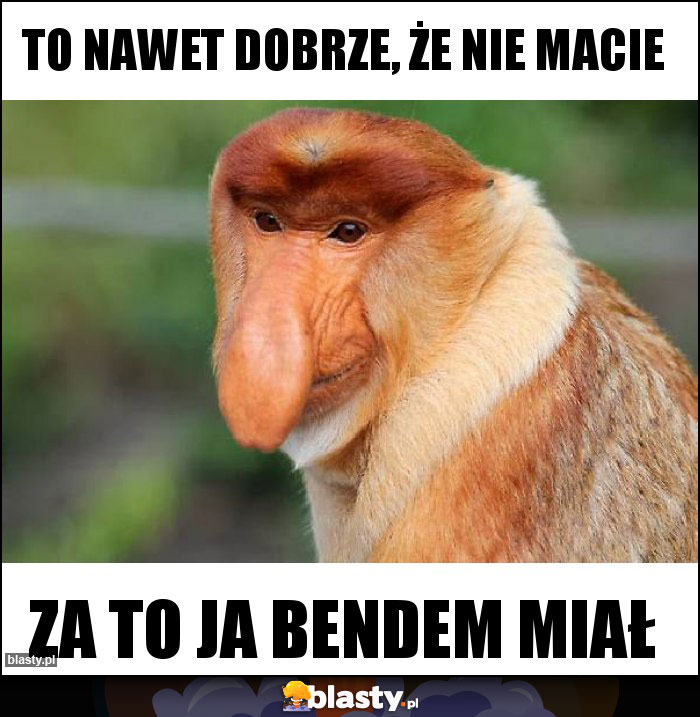 To nawet dobrze, że nie macie To nawet dobrze, że nie macie