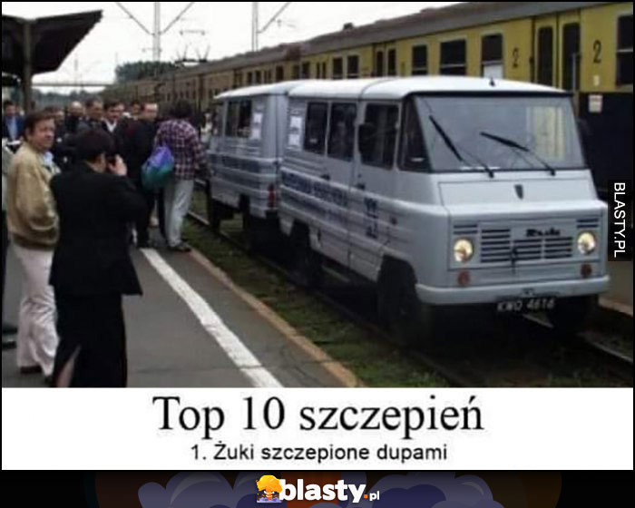 Top 10 szczepień: 1. Żuki szczepione dupami