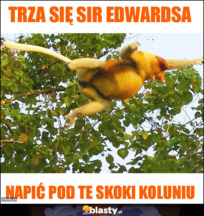 Trza się sir edwardsa Trza się sir edwardsa