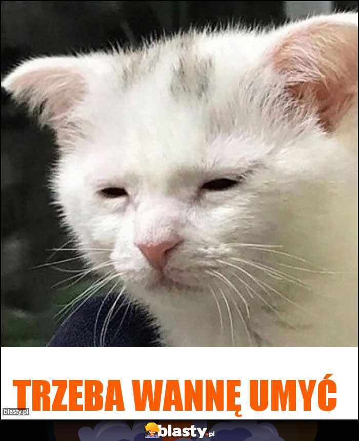 trzeba wannę umyć trzeba wannę umyć