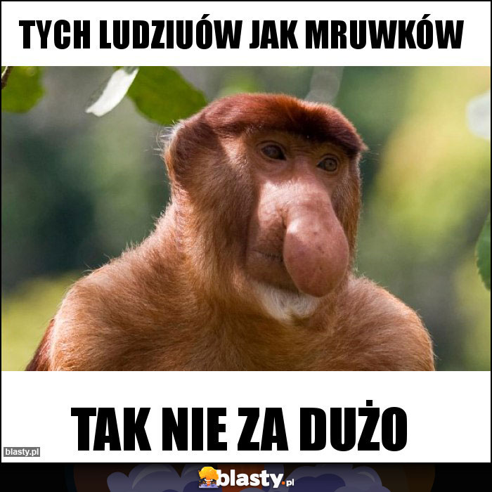 TYCH LUDZIUÓW JAK MRUWKÓW TYCH LUDZIUÓW JAK MRUWKÓW
