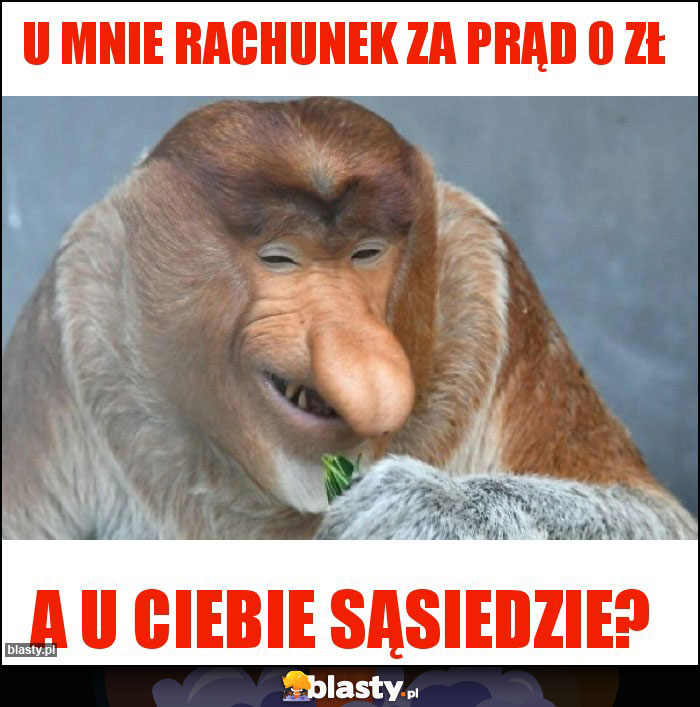 U MNIE RACHUNEK ZA PRĄD 0 ZŁ U MNIE RACHUNEK ZA PRĄD 0 ZŁ