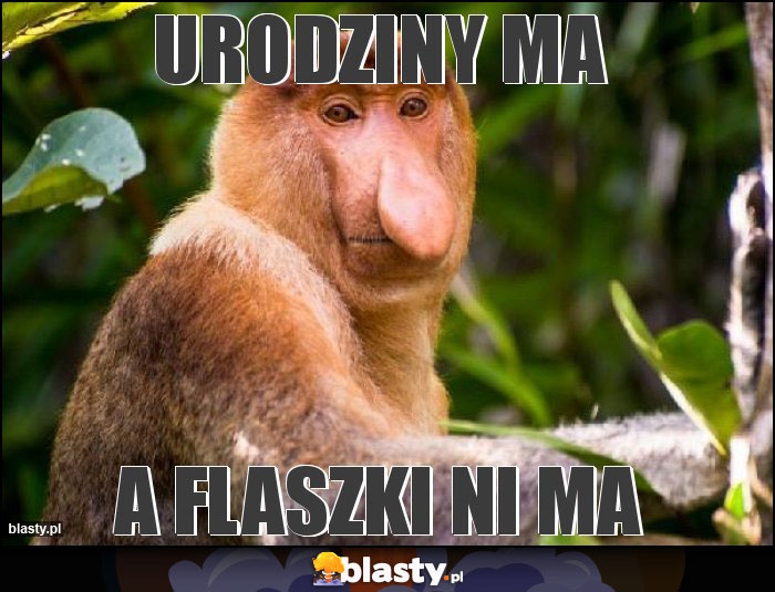 Urodziny ma Urodziny ma