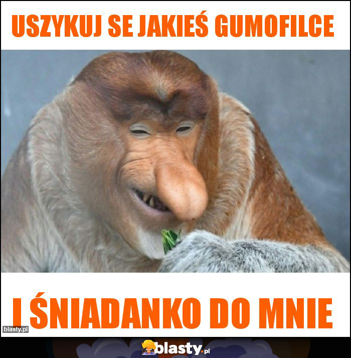 Uszykuj se jakieś Gumofilce Uszykuj se jakieś Gumofilce