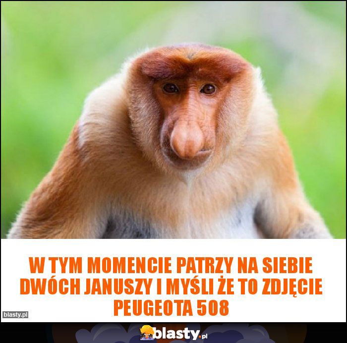 W tym momencie patrzy na siebie dwóch Januszy i myśli że to zdjęcie Peugeota 508 W tym momencie patrzy na siebie dwóch Januszy i myśli że to zdjęcie Peugeota 508