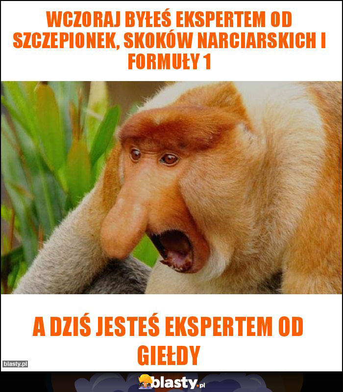 WCZORAJ BYŁEŚ EKSPERTEM OD SZCZEPIONEK, SKOKÓW NARCIARSKICH I FORMUŁY 1 WCZORAJ BYŁEŚ EKSPERTEM OD SZCZEPIONEK, SKOKÓW NARCIARSKICH I FORMUŁY 1