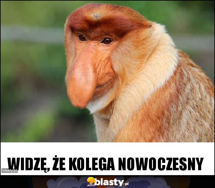 Widzę, że kolega nowoczesny Widzę, że kolega nowoczesny