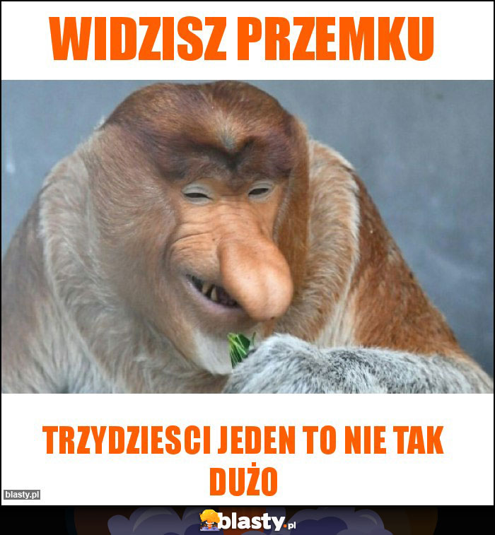 Widzisz przemku Widzisz przemku