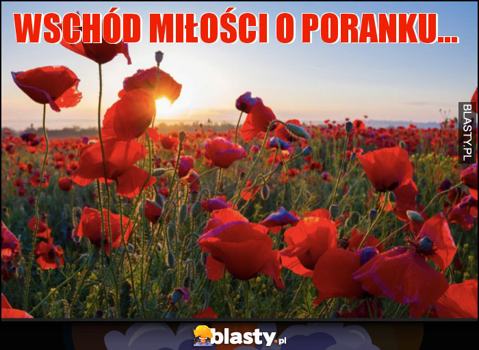 Wschód miłości o poranku... Wschód miłości o poranku...