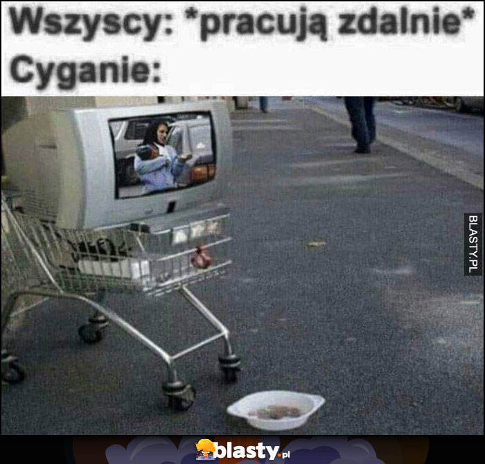 Wszyscy pracują zdalnie, cyganie żebrzą z telewizora zdalnie