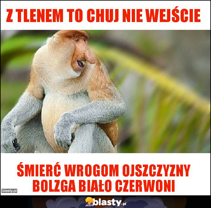 Z tlenem to chuj nie wejście Z tlenem to chuj nie wejście