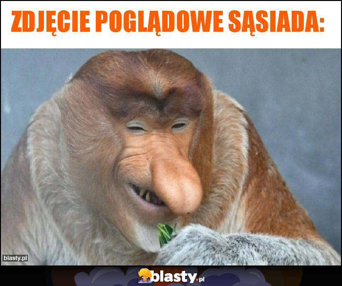 Zdjęcie poglądowe sąsiada: Zdjęcie poglądowe sąsiada: