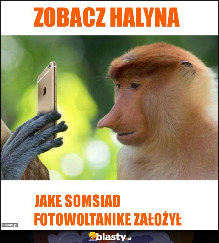 Zobacz Halyna Zobacz Halyna