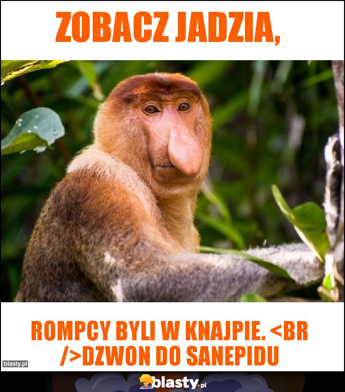 Zobacz Jadzia, Zobacz Jadzia,