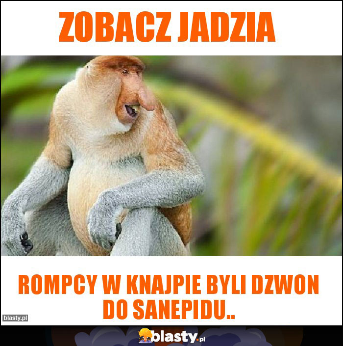 Zobacz Jadzia Zobacz Jadzia