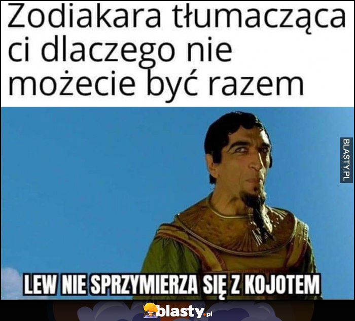 Zodiakara tłumacząca ci dlaczego nie możecie być razem: lew nie sprzymierza się z kojotem