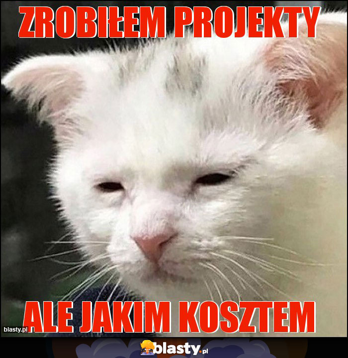 Zrobiłem projekty