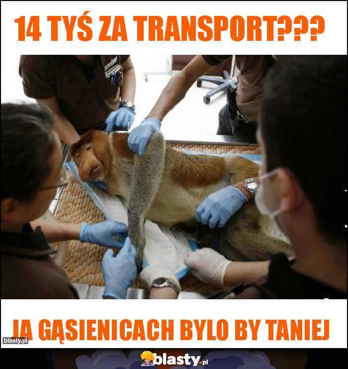 14 tyś za transport??? 14 tyś za transport???