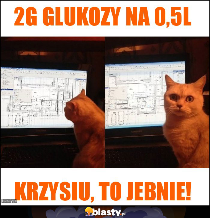2g glukozy na 0,5l 2g glukozy na 0,5l