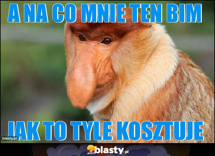 A NA CO MNIE TEN BIM A NA CO MNIE TEN BIM