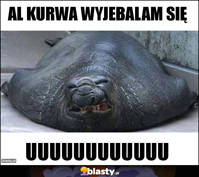 Al kurwa wyjebalam się Al kurwa wyjebalam się