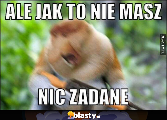 Ale jak to nie masz nic zadane typowy Polak nosacz małpa