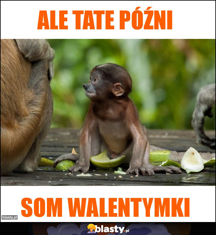 Ale tate późni Ale tate późni