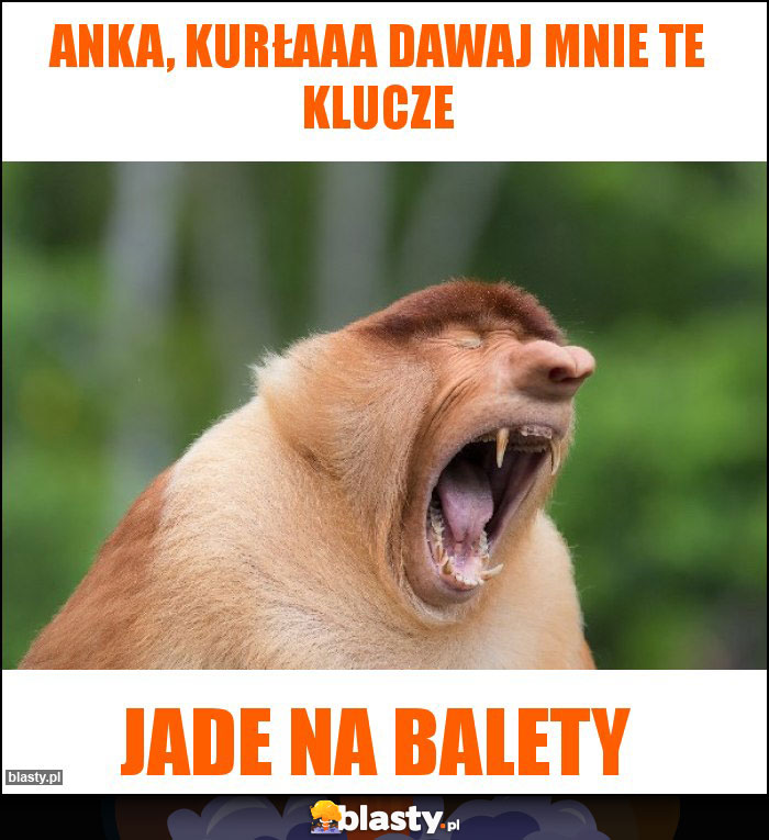 Anka, kurłaaa dawaj mnie te klucze
