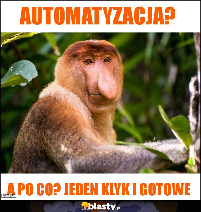 AUTOMATYZACJA? AUTOMATYZACJA?