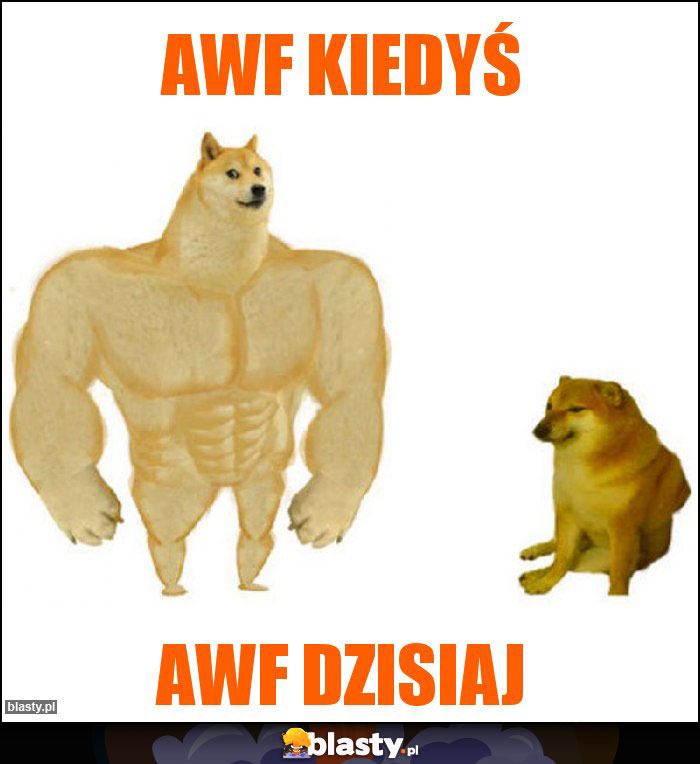 AWF kiedyś AWF kiedyś