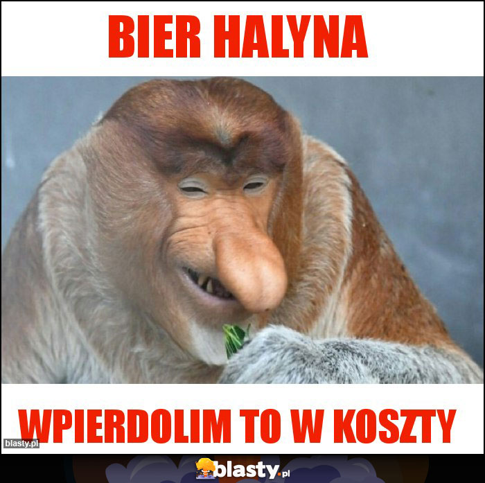 bier halyna bier halyna