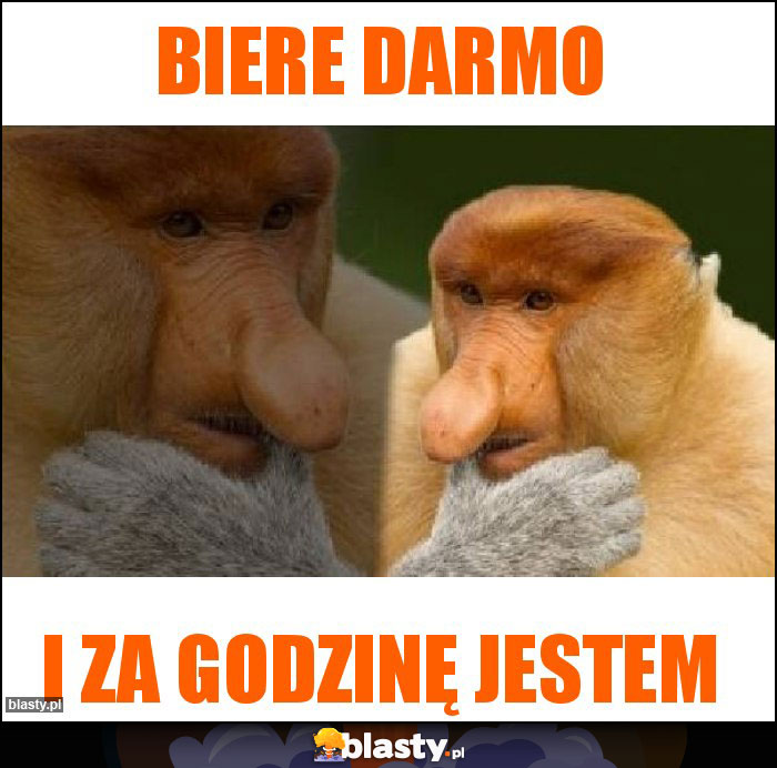 Biere darmo Biere darmo