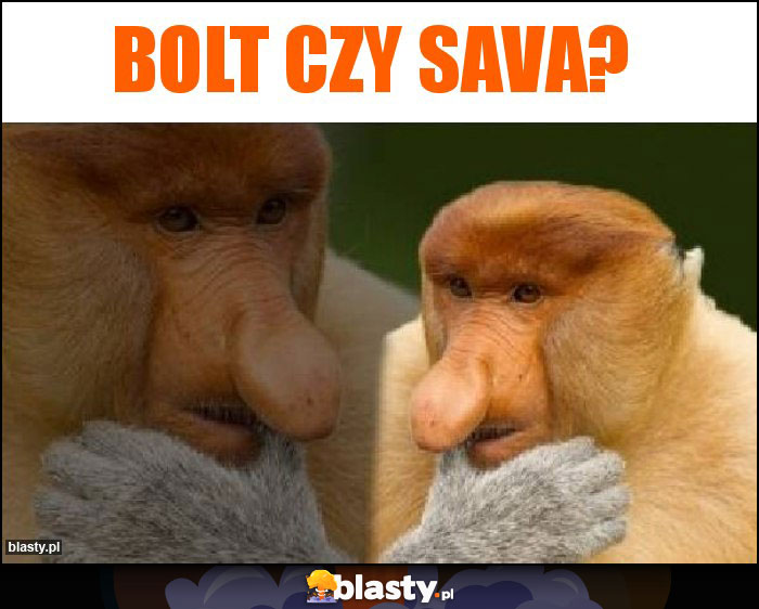 Bolt czy sava? Bolt czy sava?